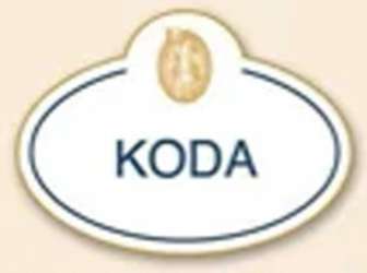 24201 - DEC - Cast Member Anniversary Name Tags - Koda (Brother Bear) 15th - Disney Employee Center alternate image