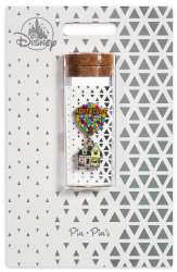 Pins in Tubes - Up House - Adventure is Out There - DSUS