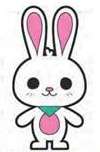 Click to view the Bunny details