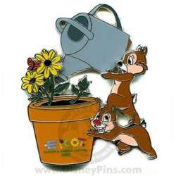 Click to view the Chip and Dale details
