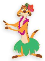 Timon