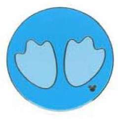 WDW Hidden Mickey Series 2008: Character Footprints - Donald Duck - WDW