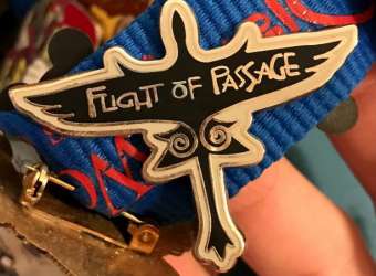 Pandora: The World of Avatar - Flight of Passage - WDW