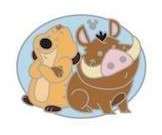 30565 - DLR Hidden Mickey Series 2019 Wave A: Disney Duos - Timon and Pumbaa - Disneyland Resort alternate image