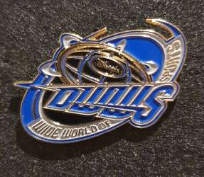 DWWS Blue Logo