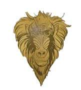 Click to view the Rafiki details