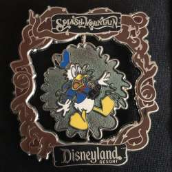 41283 - Splash Mountain - Spinner - Disneyland Resort alternate image