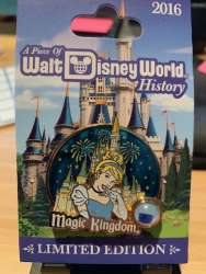 Piece of Walt Disney World History 2016 - Magic Kingdom - Cinderella Castle - WDW