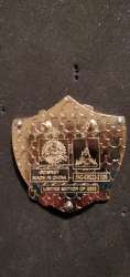 Walt Disney World 50th Anniversary Attraction Crests Collection - Jungle Cruise - WDW