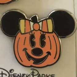 45551 - Halloween 2020 - Minnie Pumpkin alternate image