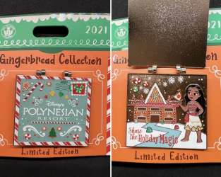 46173 - Gingerbread House Collection 2021 - Disney’s Polynesian Village Resort - Disneyland Resort alternate image