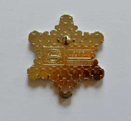 46 - Frozen - Anna & Elsa Jeweled Snowflake Pin alternate image