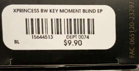 48910 - BoxLunch - Disney Princesses Grayscale Moments Mystery Collection - Unopened Box - Loungefly alternate image
