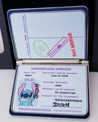 Stitch