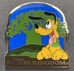 Animal Kingdom - Pluto
