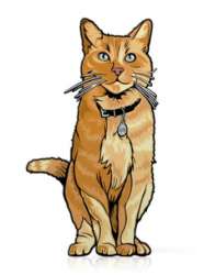 40310 - Figpin - Captain Marvel - Captain Marvel - Goose the Cat #X21 - FiGPiN alternate image