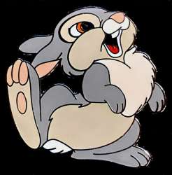 Click to view the Thumper details