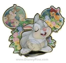 Click to view the Thumper details