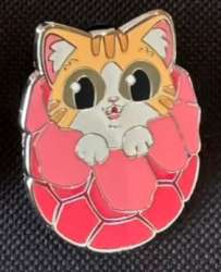 Orange White Flerkitten in Egg Hive