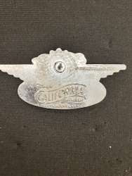 'Personalized Custom Name Pins - Soarin' Over California - Pilot Wings - DLR'
