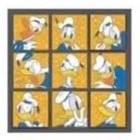 Many Faces of Mickey and Friends - Donald Expressions Block - WDI