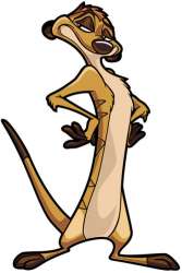 Timon (854)