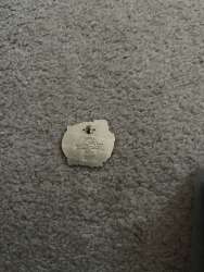 'Adventures By Disney - Donald Show Me the Monet - ABD'