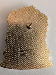 70381 - Earth Day - Jiminy cricket - Disneyland Resort alternate image