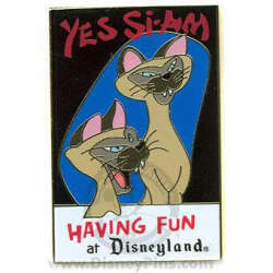 Yes Si-Am Having Fun at Disneyland - Si & Am
