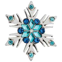 Frozen Snowflake
