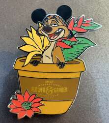 Timon in Flower Pot