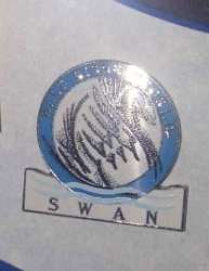 The Swan