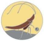 76886 - WDW Hidden Disney Series 2024: WALL-E (Pixar) Collection - Hal the Cockroach CHASER - Walt Disney World alternate image