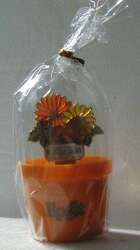 'Epcot International Flower &amp; Garden Festival 2001 - Stained Glass Flowers Pin ONLY - WDW'