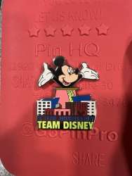 78007 - Cast Exclusive - Team Disney Orlando 15 Year Anniversary - Theme Park Cast Member Exclusive alternate image