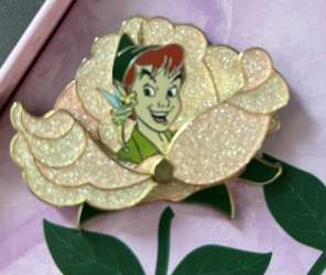 Peter Pan & Tinkerbell Rose