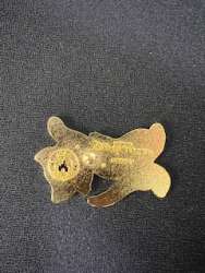 79436 - Pinocchio - Figaro Waving - Tokyo Disneyland Resort alternate image