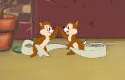 Chip & Dale
