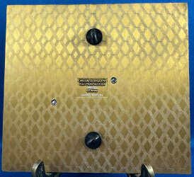 'Frozen - Pinapalooza - Anna - First Time In Forever - DLIC'