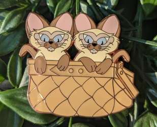 Si and Am in brown basket
