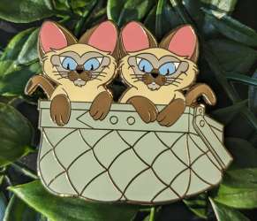 Si and Am in grey basket
