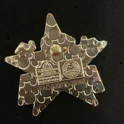 'Wall-E with Green Star - SDR'