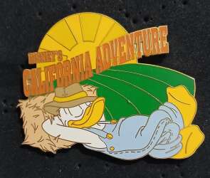 Donald Disney's California Adventure
