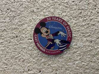 Mickey - 30e of magic - cast