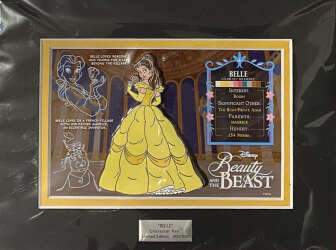 Click to view the Belle details